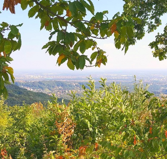 ZAGREB
